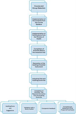 On-site inspection as a tool for developing auditing skills in engineering: integrating continuous education contents into higher education programs